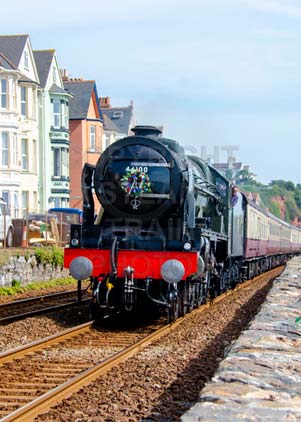 Purchase photo of 46100 ROYAL SCOT at Dawlish