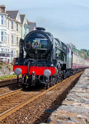Purchase photo of 46100 ROYAL SCOT at Dawlish