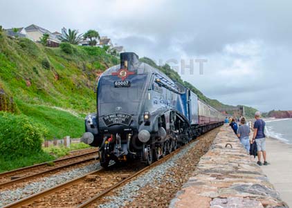 Purchase photo of 60007 SIR NIGEL GRESLEY at Dawlish