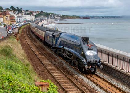 Purchase photo of 60007 SIR NIGEL GRESLEY at Dawlish