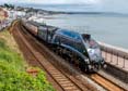 Photograph of SIR NIGEL GRESLEY - 60007 SIR NIGEL GRESLEY at Dawlish on 05/08/23
