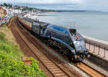 Purchase photo of 60007 SIR NIGEL GRESLEY at Dawlish