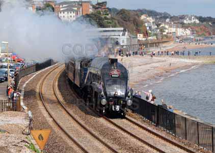 Purchase photo of 60007 SIR NIGEL GRESLEY at Dawlish
