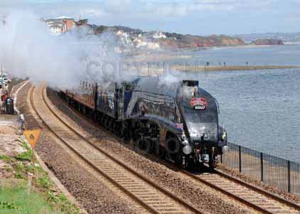 Purchase photo of 60007 SIR NIGEL GRESLEY at Dawlish