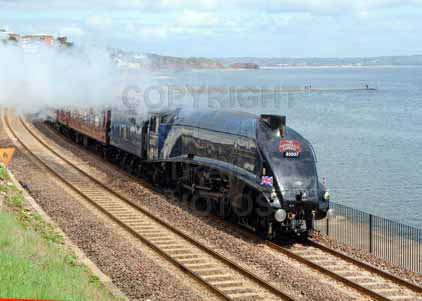 Purchase photo of 60007 SIR NIGEL GRESLEY at Dawlish