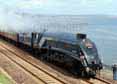 Photograph of SIR NIGEL GRESLEY - 60007 SIR NIGEL GRESLEY at Dawlish on 10/04/14