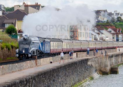 Purchase photo of 60007 SIR NIGEL GRESLEY at Dawlish