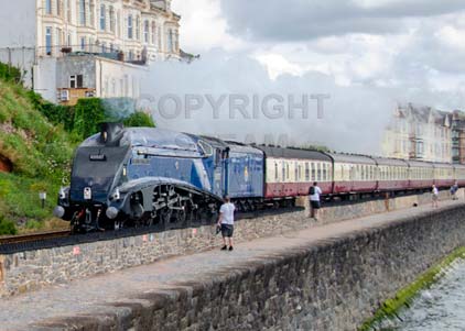 Purchase photo of 60007 SIR NIGEL GRESLEY at Dawlish