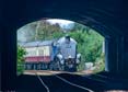Photograph of SIR NIGEL GRESLEY - 60007 SIR NIGEL GRESLEY at Dawlish on 20/07/24