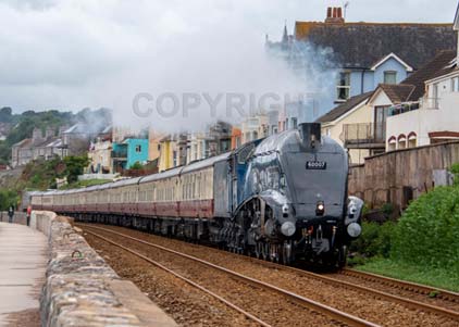 Purchase photo of 60007 SIR NIGEL GRESLEY at Dawlish