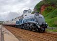 Photograph of SIR NIGEL GRESLEY - 60007 SIR NIGEL GRESLEY at Dawlish on 20/07/24