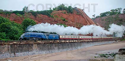 Purchase posters of 60007 SIR NIGEL GRESLEY