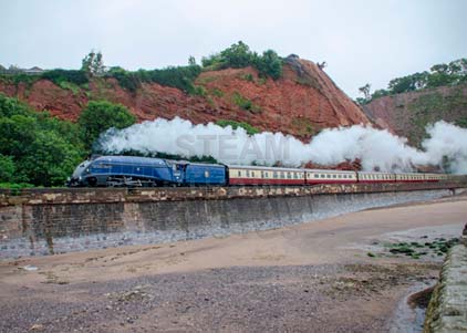 Purchase photo of 60007 SIR NIGEL GRESLEY at Dawlish