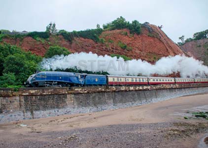 Purchase photo of 60007 SIR NIGEL GRESLEY at Dawlish