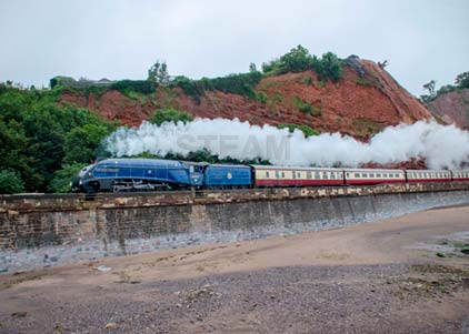 Purchase photo of 60007 SIR NIGEL GRESLEY at Dawlish