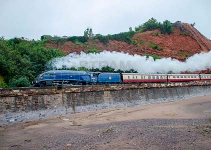 Purchase photo of 60007 SIR NIGEL GRESLEY at Dawlish
