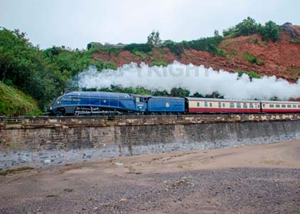 Purchase photo of 60007 SIR NIGEL GRESLEY at Dawlish
