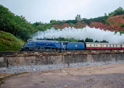 Purchase photo of 60007 SIR NIGEL GRESLEY at Dawlish