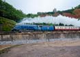 Photograph of SIR NIGEL GRESLEY - 60007 SIR NIGEL GRESLEY at Dawlish on 20/07/24
