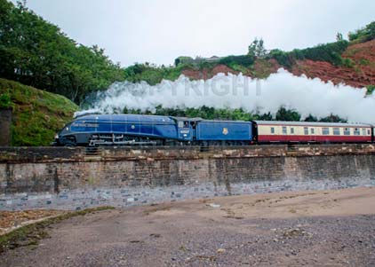Purchase photo of 60007 SIR NIGEL GRESLEY at Dawlish