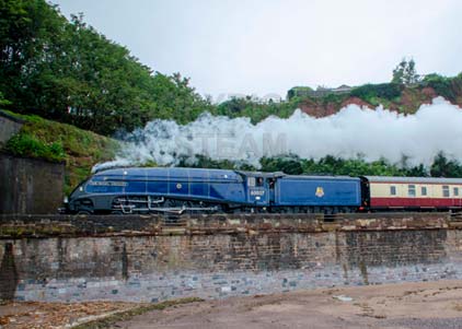 Purchase photo of 60007 SIR NIGEL GRESLEY at Dawlish