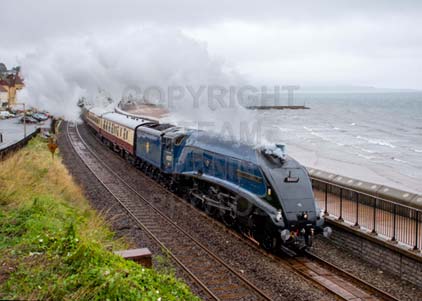 Purchase photo of 60007 SIR NIGEL GRESLEY at Dawlish