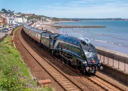Purchase photo of 60007 SIR NIGEL GRESLEY at Dawlish