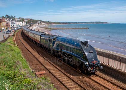 Purchase photo of 60007 SIR NIGEL GRESLEY at Dawlish