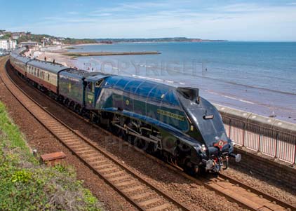 Purchase photo of 60007 SIR NIGEL GRESLEY at Dawlish