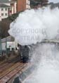 Photograph of UNION OF SOUTH AFRICA - 60009 UNION OF SOUTH AFRICA at Dawlish on 01/12/18