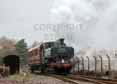 Photograph of 0-6-0PT - 3650 0-6-0PT at Didcot on 01/01/15