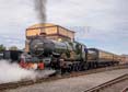 Photograph of PENDENNIS CASTLE - 4079 PENDENNIS CASTLE at Didcot on 02/08/25