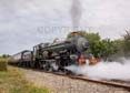 Photograph of PENDENNIS CASTLE - 4079 PENDENNIS CASTLE at Didcot on 02/08/25