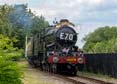 Photograph of PENDENNIS CASTLE - 4079 PENDENNIS CASTLE at Didcot on 02/06/22