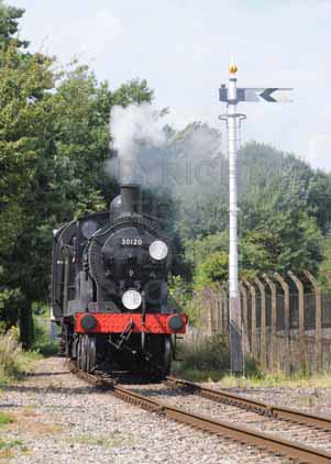 Purchase photo of 30120 T9 at Didcot