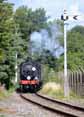 Photograph of T9 - 30120 T9 at Didcot on 03/08/14