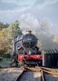 Photograph of KING EDWARD II - 6023 KING EDWARD II at Didcot on 03/11/18