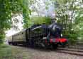 Photograph of 0-6-0 - 1501 0-6-0 at Didcot on 04/05/15