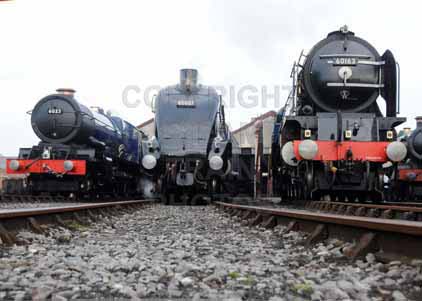 Purchase photo of 6023 KING EDWARD II,  60007 SIR NIGEL GRESLEY &  60163 TORNADO at Didcot