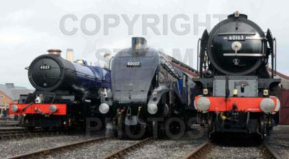 Purchase posters of 6023 KING EDWARD II,  60007 SIR NIGEL GRESLEY &amp;  60163 TORNADO