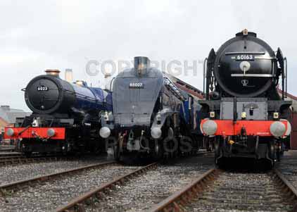 Purchase photo of 6023 KING EDWARD II,  60007 SIR NIGEL GRESLEY &  60163 TORNADO at Didcot