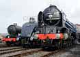 Photograph of SIR NIGEL GRESLEY - 6023 KING EDWARD II,  60007 SIR NIGEL GRESLEY &  60163 TORNADO at Didcot on 05/04/14