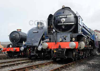 Purchase photo of 6023 KING EDWARD II,  60007 SIR NIGEL GRESLEY &  60163 TORNADO at Didcot