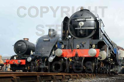 Purchase posters of 6023 KING EDWARD II,  60007 SIR NIGEL GRESLEY &amp;  60163 TORNADO