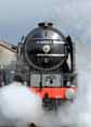 Photograph of TORNADO - 60163 TORNADO at Didcot on 05/04/14