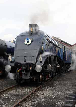 Purchase photo of 60007 SIR NIGEL GRESLEY at Didcot