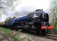 Photograph of TORNADO - 60163 TORNADO at Didcot on 05/04/14