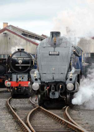 Purchase posters of 60007 SIR NIGEL GRESLEY