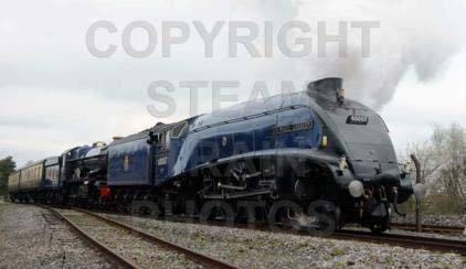 Purchase posters of 60007 SIR NIGEL GRESLEY &amp;  6023 KING EDWARD II