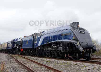 Purchase photo of 60007 SIR NIGEL GRESLEY &  6023 KING EDWARD II at Didcot
